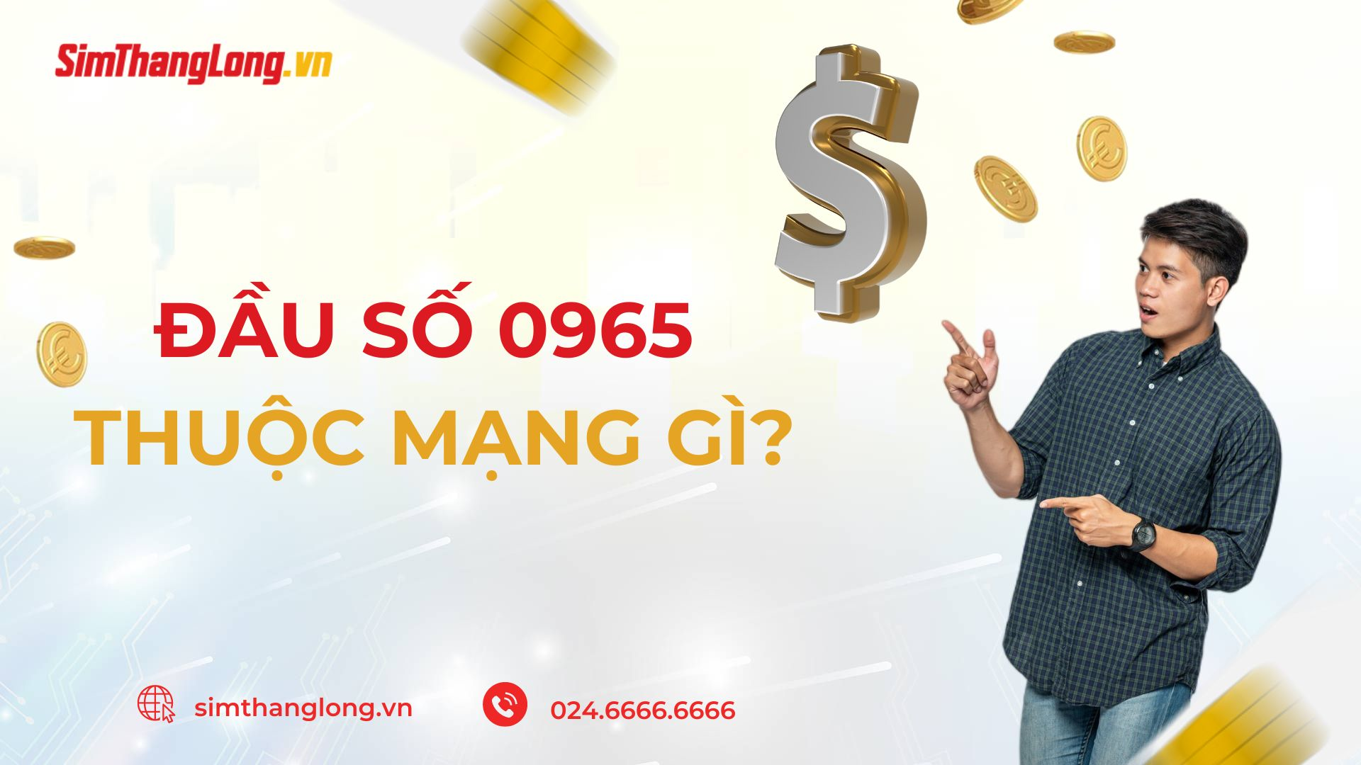 Đầu số 0965 thuộc mạng gì?