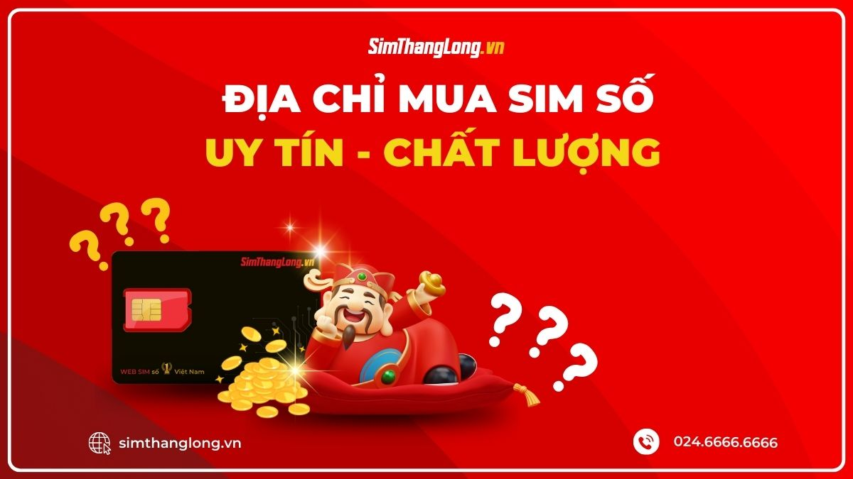 Sim Thăng Long tự hào là đại lý số 1 cung cấp sim số đẹp tại Việt Nam