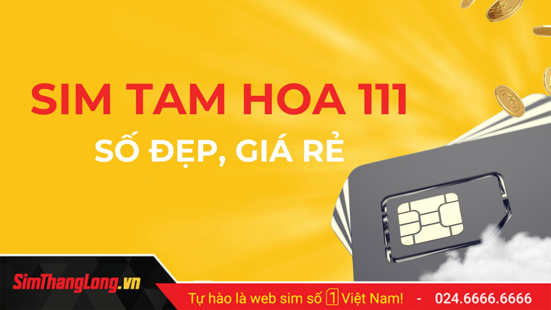 Mua sim tam hoa 111