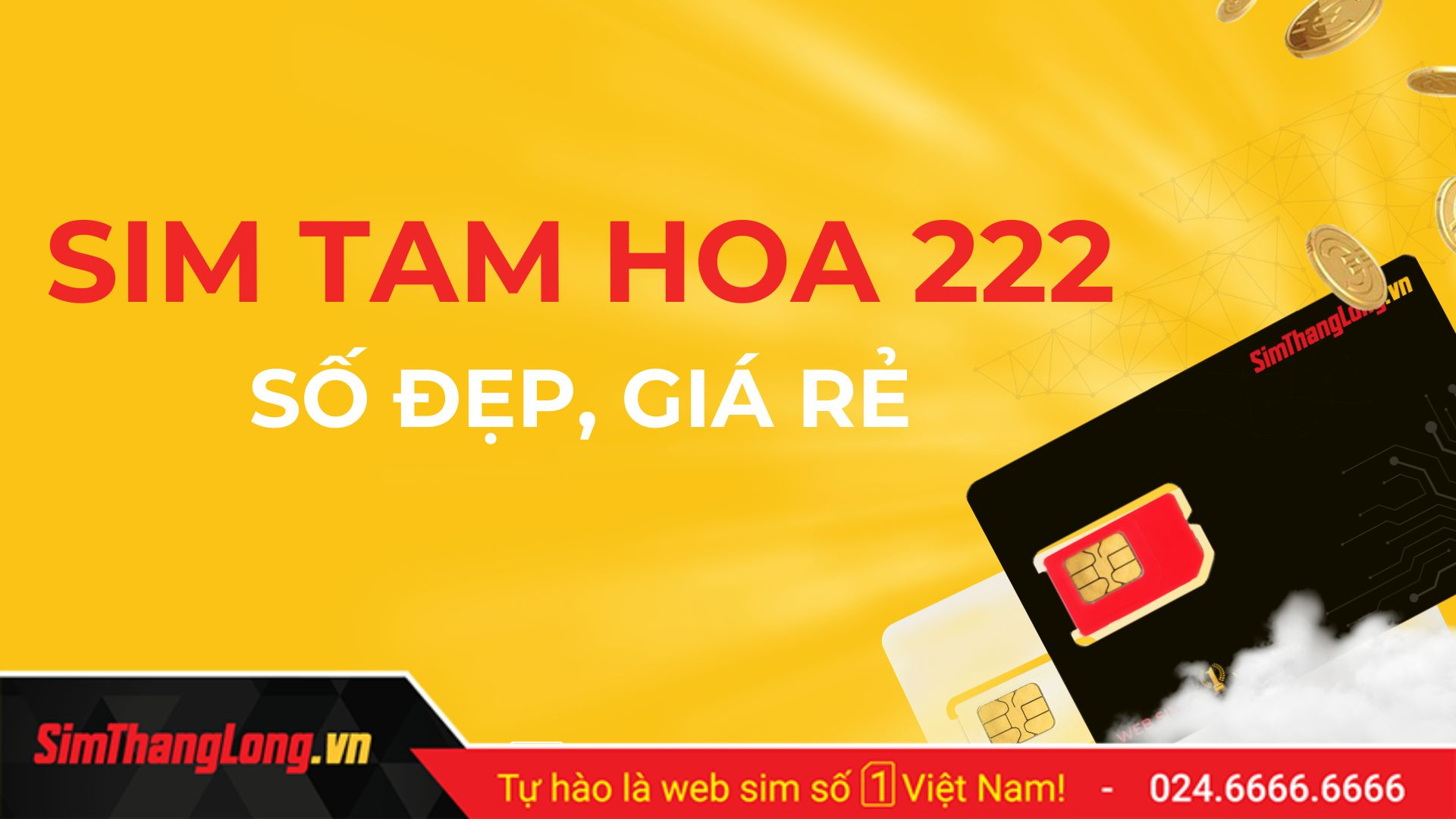 Sim tam hoa 222 tại Sim Thăng Long