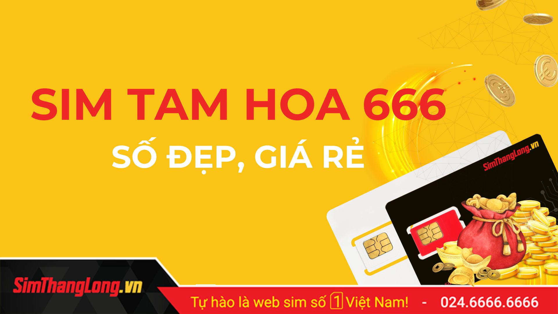 Sim tam hoa 6 tại Sim Thăng Long
