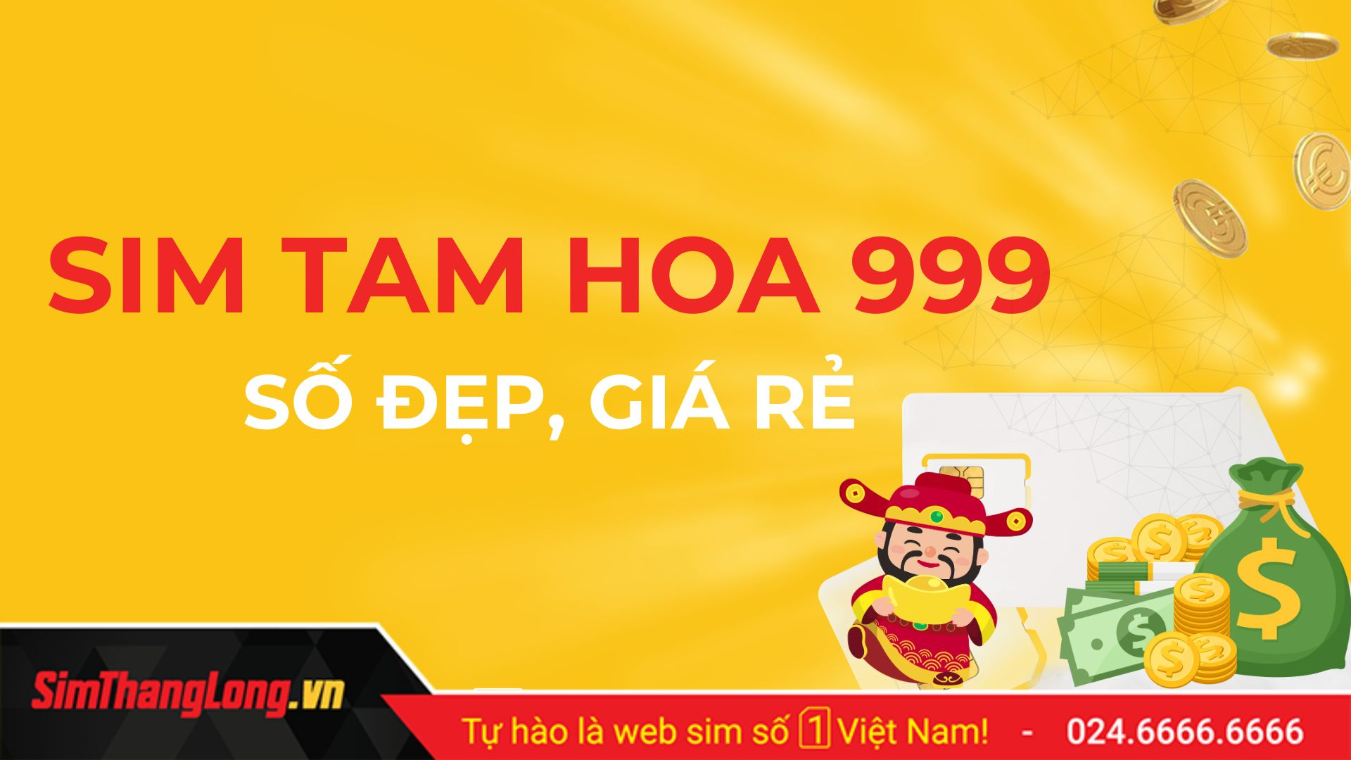 Kho sim tam hoa 999 tại Sim Thăng Long