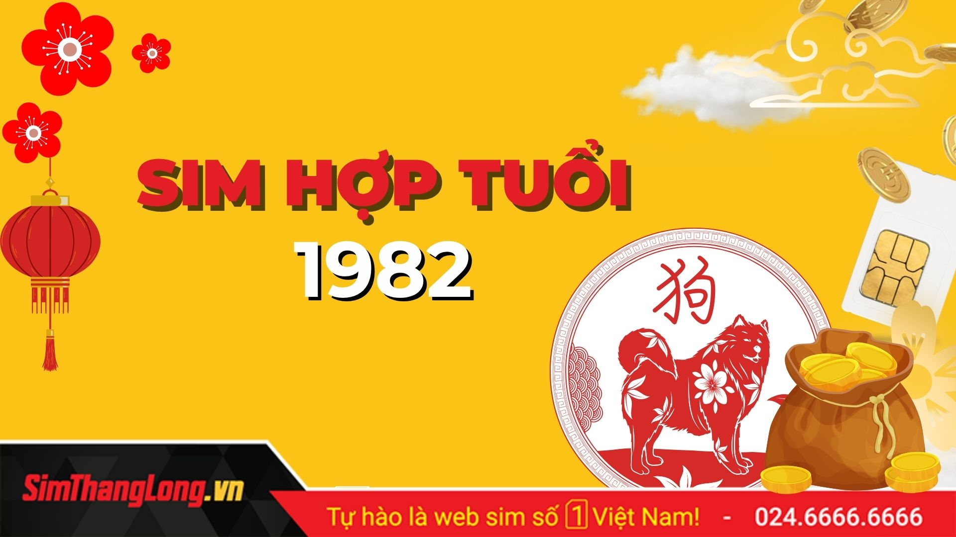 Tìm sim phong thủy hợp tuổi 1982