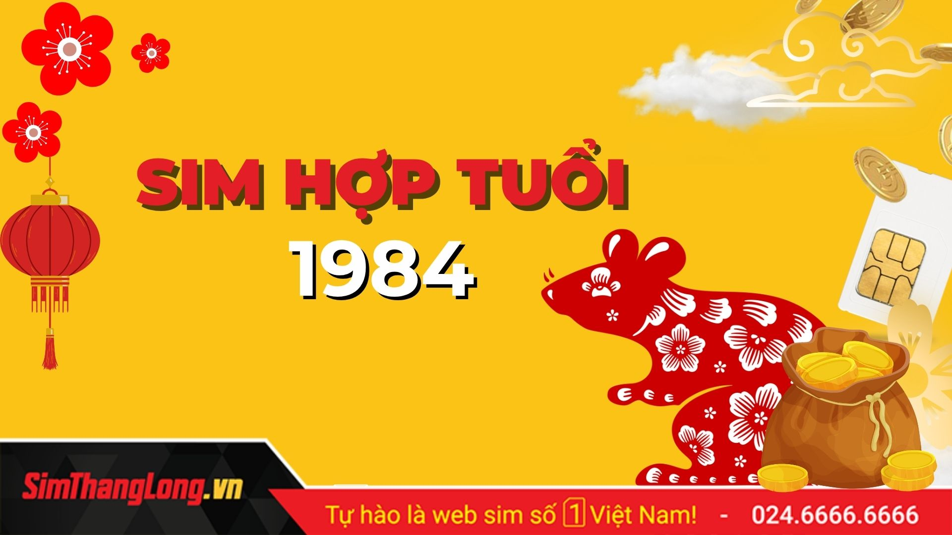Sim phong thủy hợp tuổi 1984