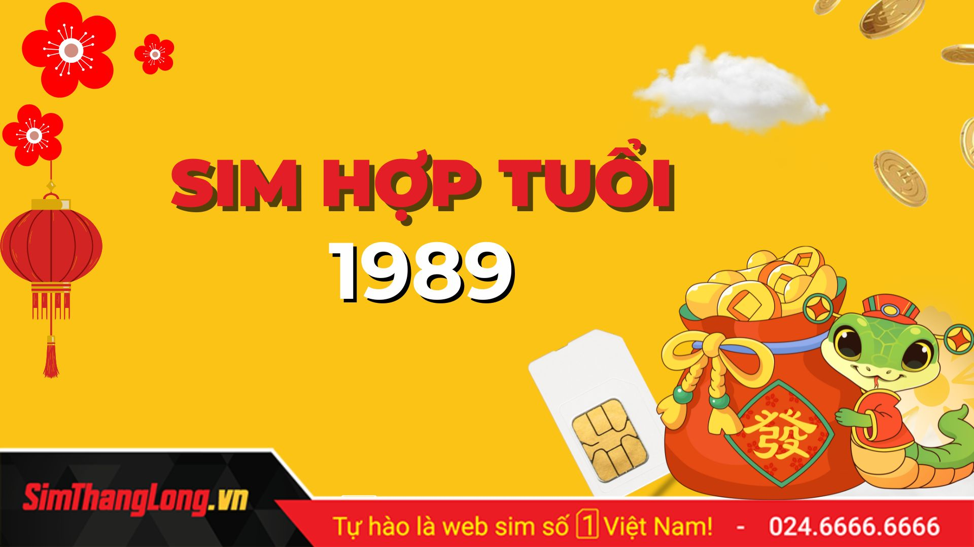Sim phong thủy hợp tuổi 1989