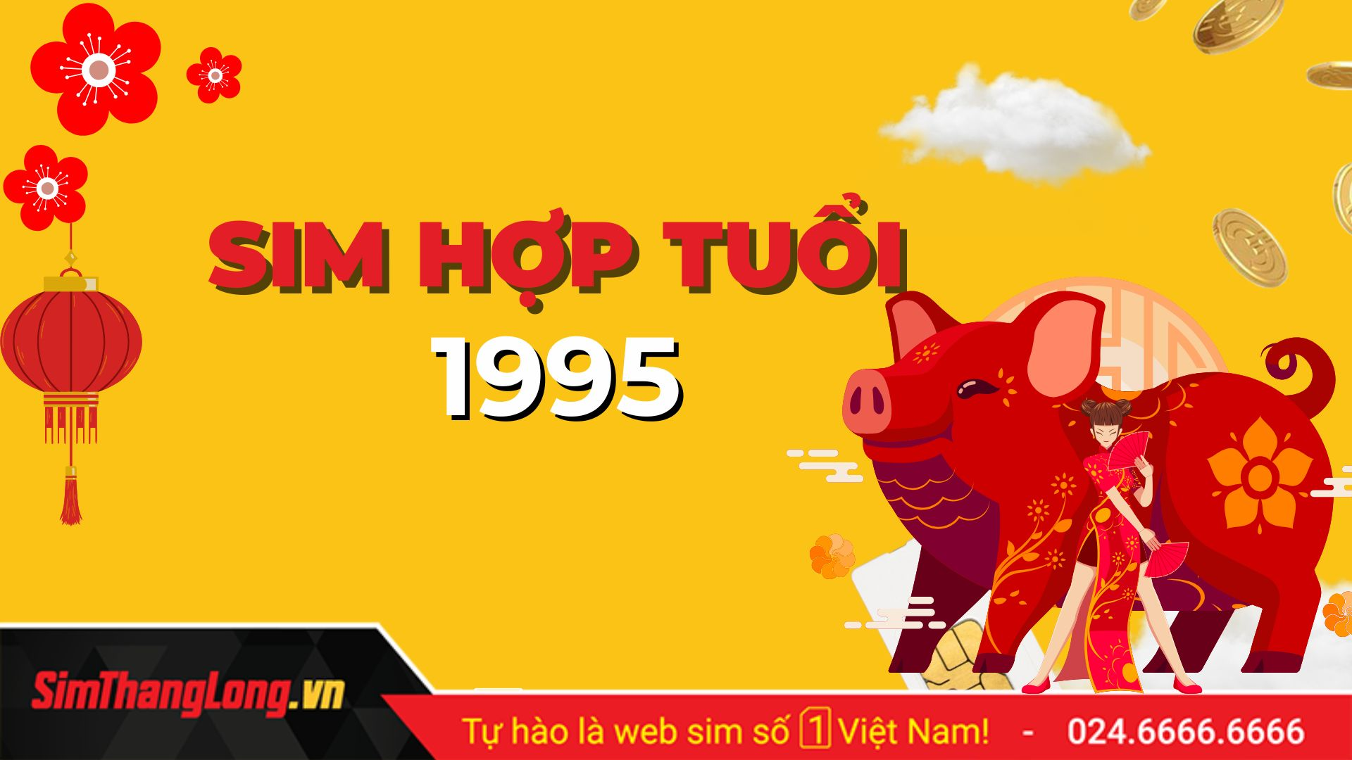 Sim phong thủy hợp tuổi 1995