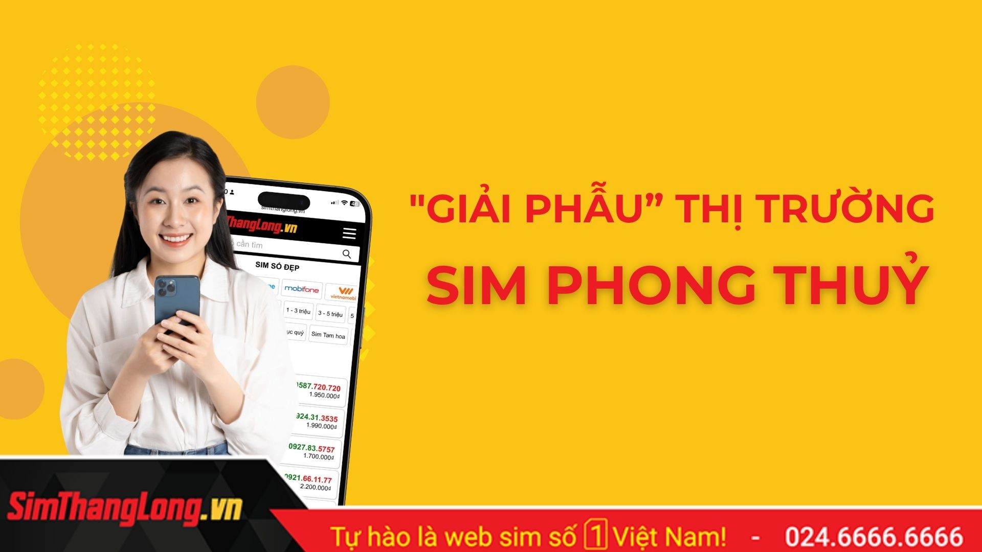 Giai-phau-thi-truong-sim-phong-thuy