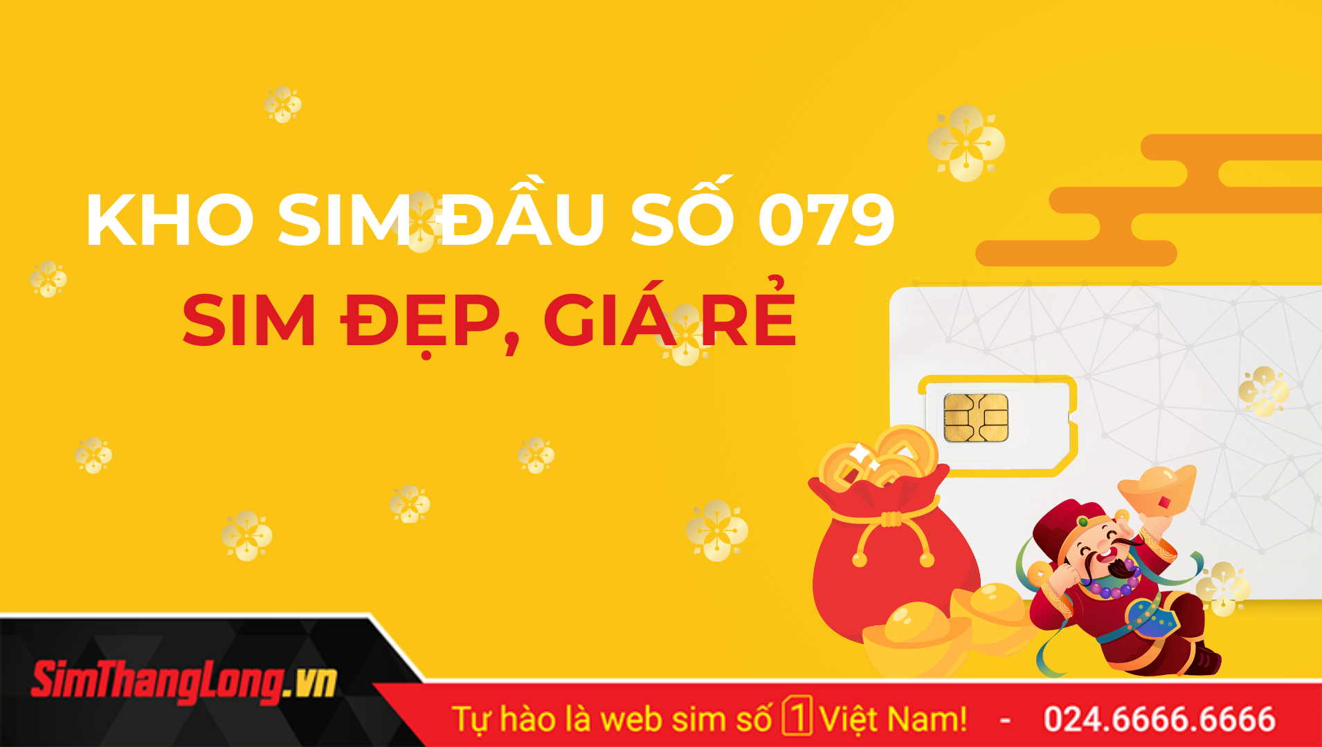 Kho sim đầu số 079