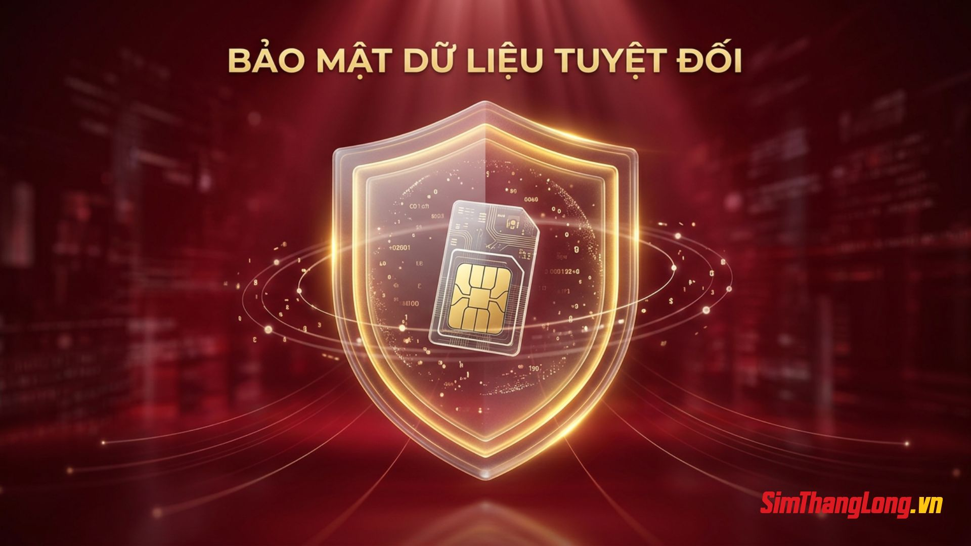 Bảo mật dữ liệu của Sim Thăng Long