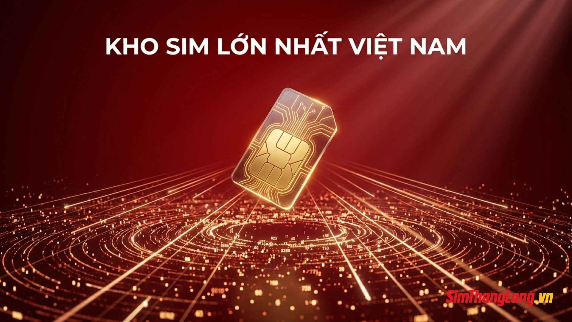 Mua sim lặp 2 tại Sim Thăng Long Mua sim lặp 2 tại Sim Thăng Long