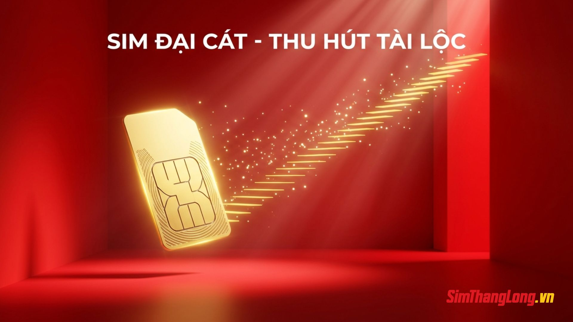 Sức hấp dẫn của sim đại cát Sức hấp dẫn của sim đại cát