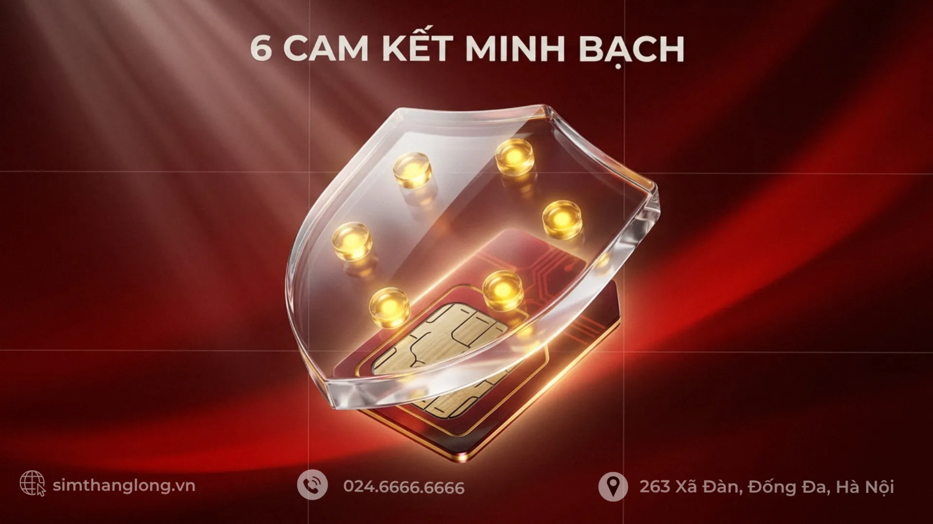 Các cam kết của Sim Thăng Long